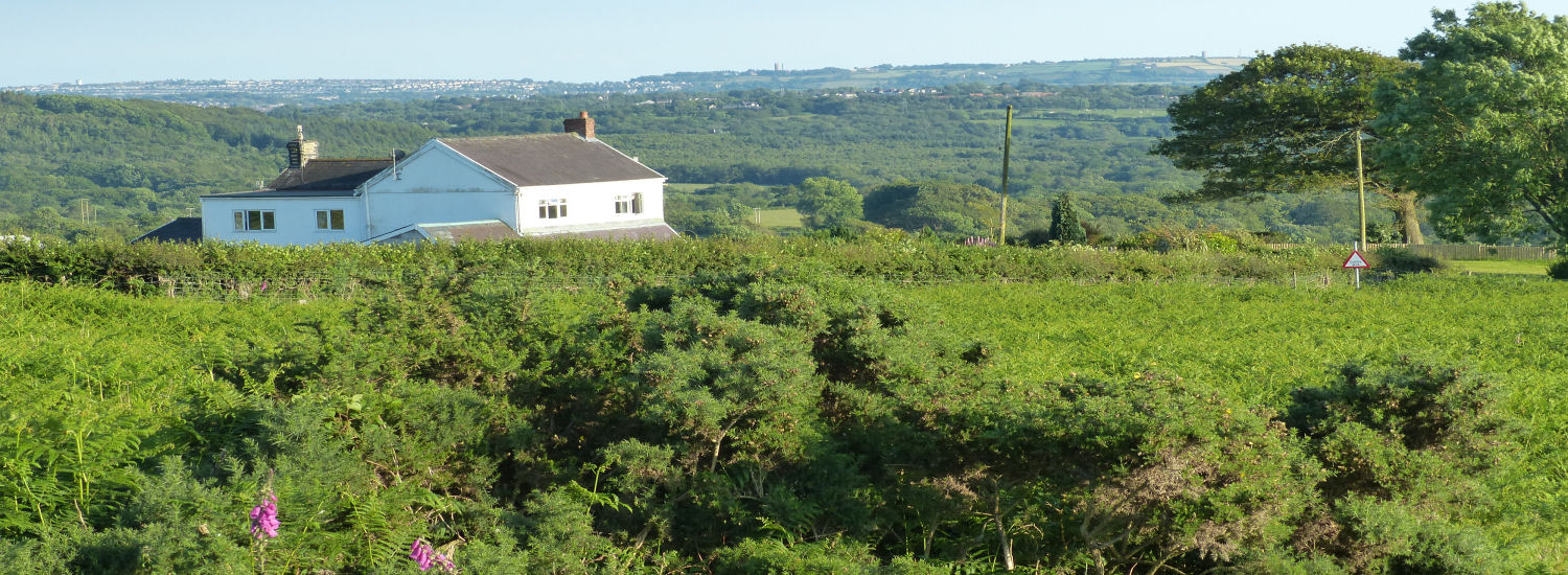 swansea